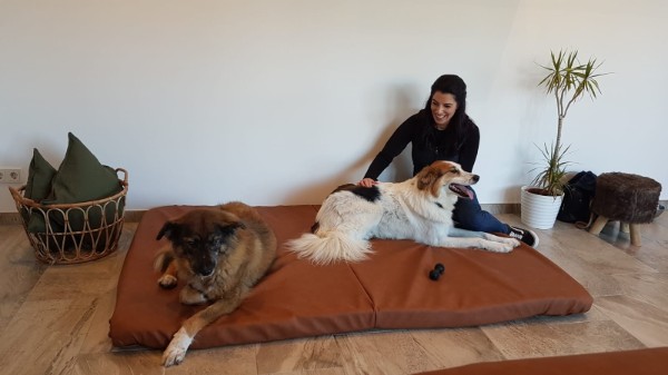 Hundephysio im Saarland Eppelborn