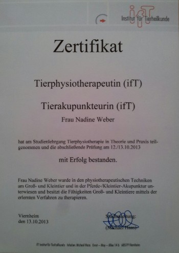 Zertifizierte Tierphysiotherapeutin Nadine Weber